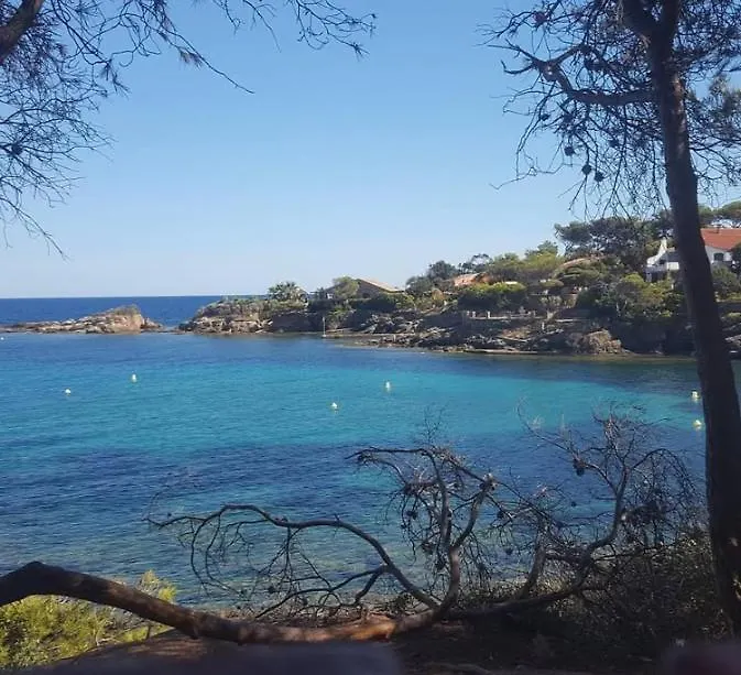 Villa Le Patio A 20 M De La Mer Saint-Peire-sur-Mer